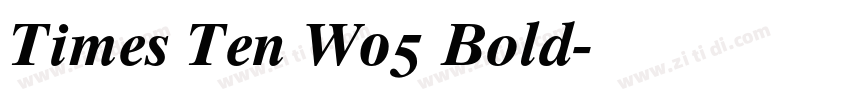 Times Ten W05 Bold字体转换